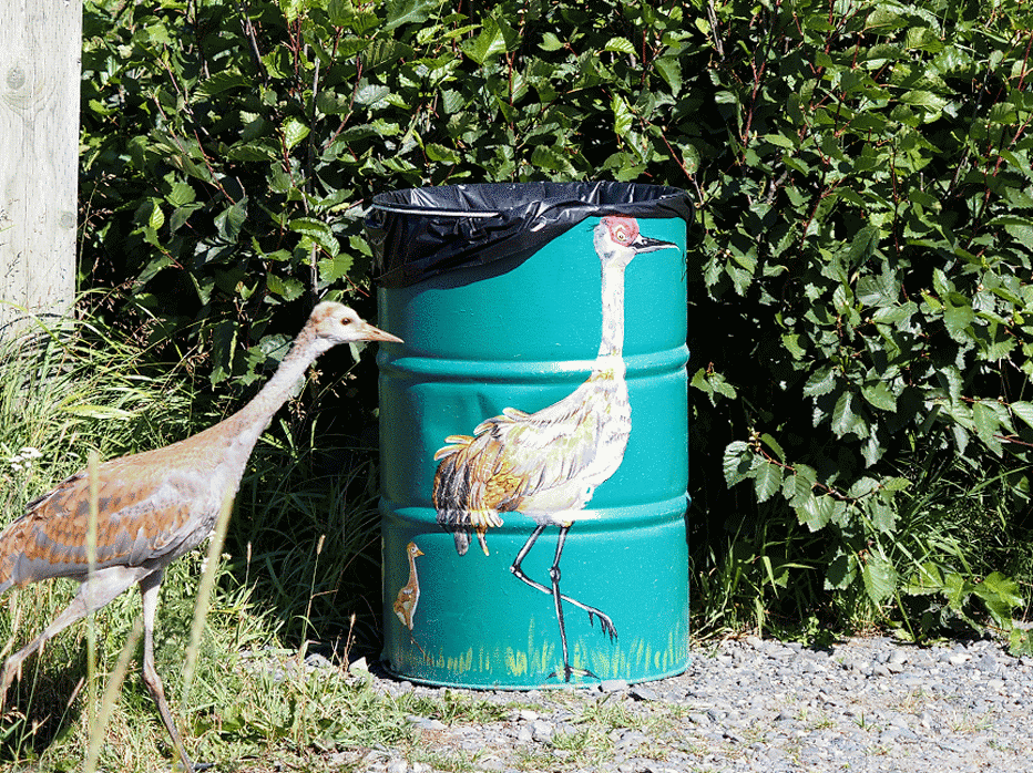 Cranes